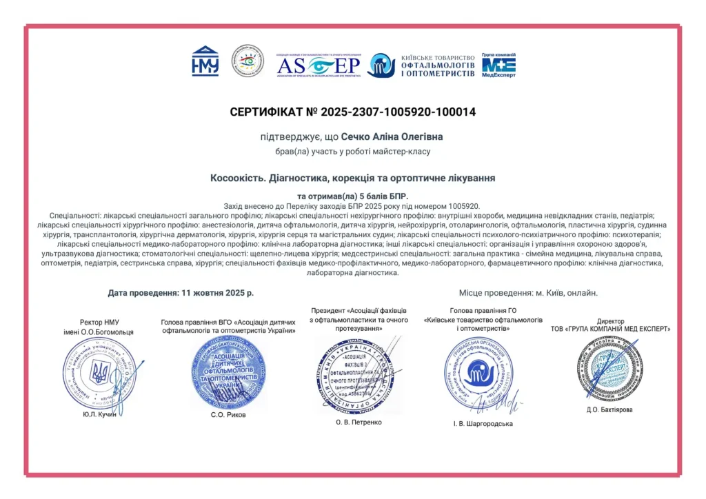 e-cert-4aaca739209069bab7a9938333f3cfb0-1-optimized